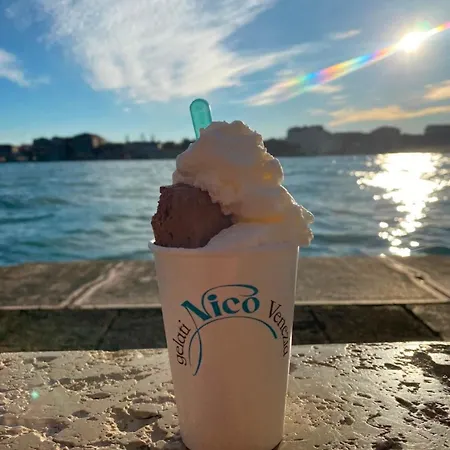 Wonderful View Zattere